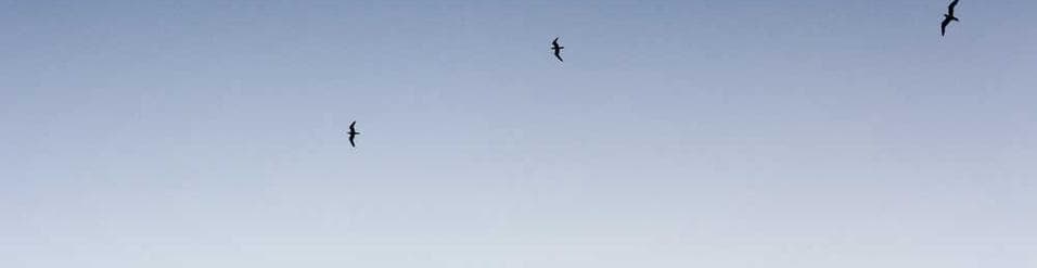 Wilderman Group — company cover image on Astra Crew