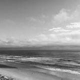 Daugherty Inc — crewing company logo
