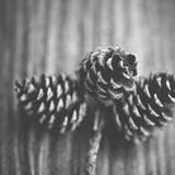 Hudson and Sons — crewing company logo