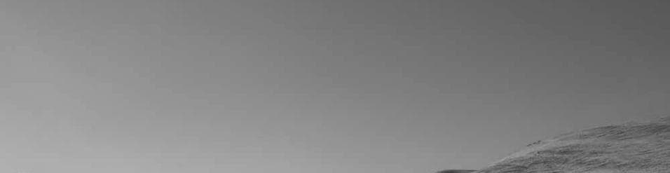 Stanton and Sons — εικόνα εξωφύλλου εταιρείας στο Astra Crew